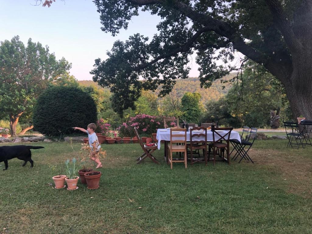Ferme Le Pavillon Bed & Breakfast Bargemon Dış mekan fotoğraf